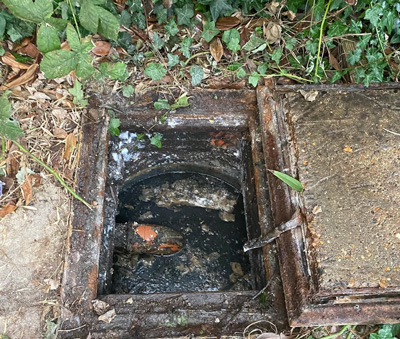 open sewer access point with dark water and debris surrounded by foliage and leaves drainage inspection area